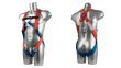 PORTWEST | FULL BODY 2 POINT SAFETY HARNESS ONE SIZE | FP12