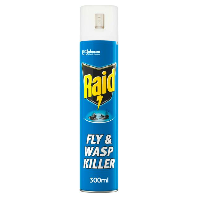 Raid |  Flying Insect Dry Spray x 300ml | Y77065 | 280805