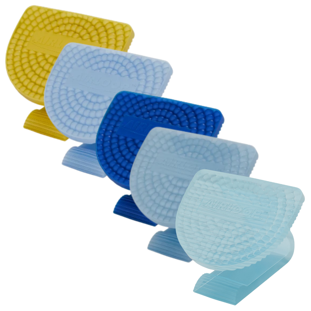 VECTAIR | AIRLOOP PASSIVE AIR FRESHENER X 10 | AIRLOOP